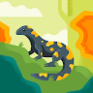 Meet your Posher, Braeden